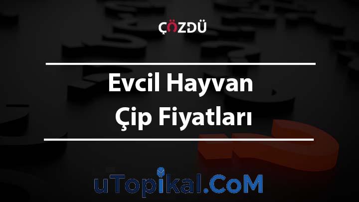 Evcil Hayvan Çip Fiyatları