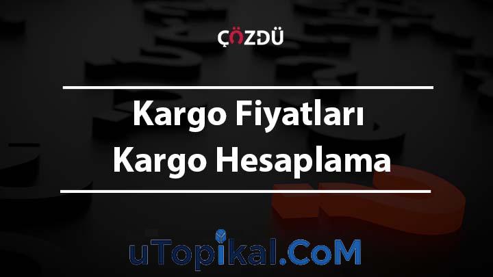 Kargo Fiyatları (Mng, Aras, Yurt İçi) Kargo Hesaplama