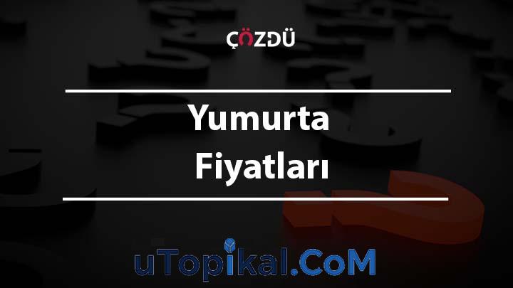 Yumurta Fiyatları